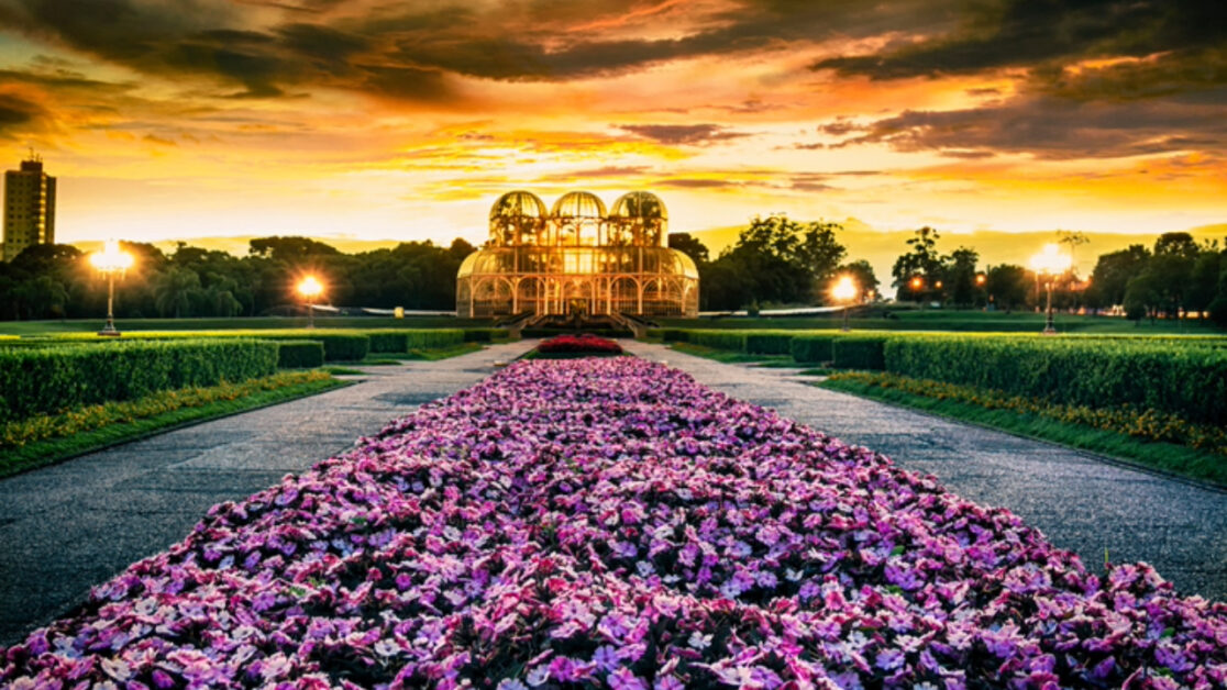 Descubra as cidades brasileiras onde o clima gelado cria cenários únicos, perfeitos para quem busca um refúgio do calor e um toque de inverno.